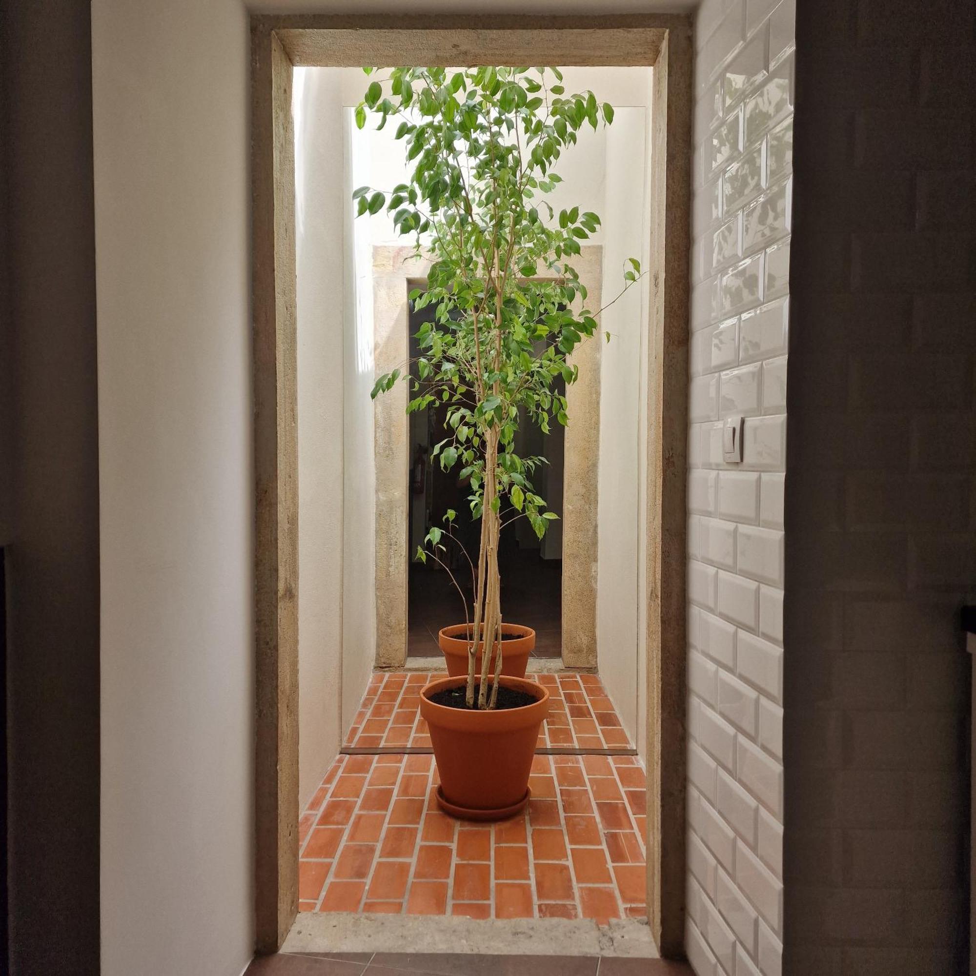 Casas De Constancia Villa Szoba fotó