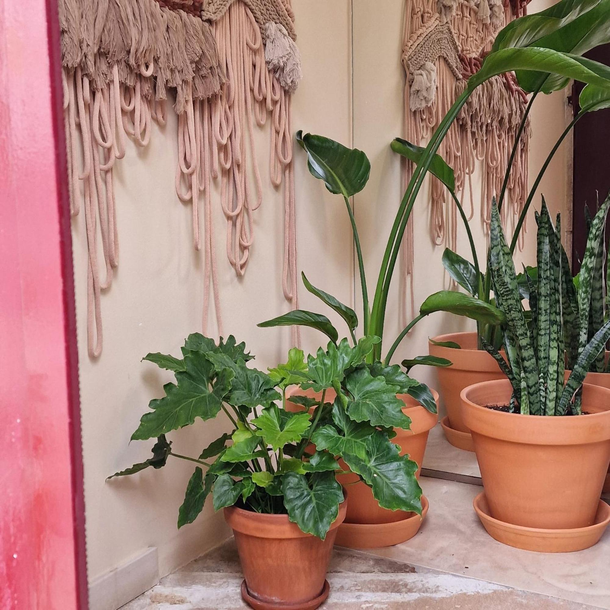 Casas De Constancia Villa Kültér fotó